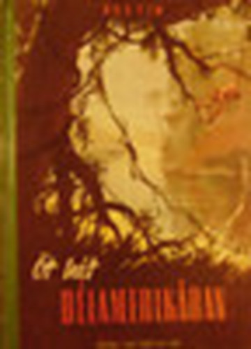 L. Rogyin - t ht Dl-Amerikban