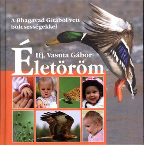 Ifj. Vasuta Gbor - letrm