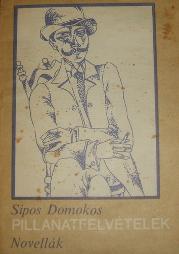 Sipos Domokos - Pillanatfelvételek