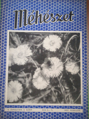 Mhszet V. vfolyam  2. szm 1957. februr