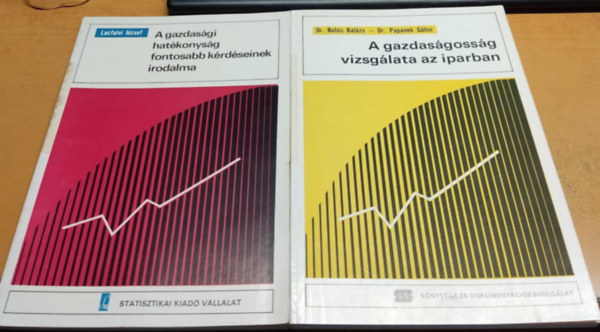 Lacfalvi Jzsef, Botos Balzs, Papanek Gbor - 2 db Gazdasg: A gazdasgi hatkonysg fontosabb krdseinek irodalma + A gazdasgossg vizsglata az iparban