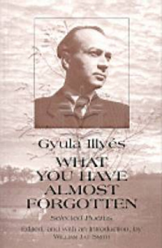Illy�s Gyula - What you have almost forgotten (Selected Poems)