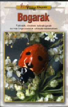 Merkl Ottó - Bogarak