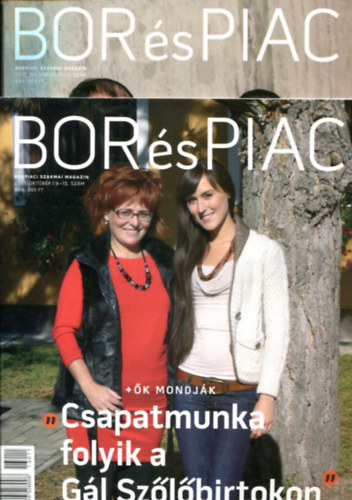 Bor s piac magazin 2013/10. s 12. szm