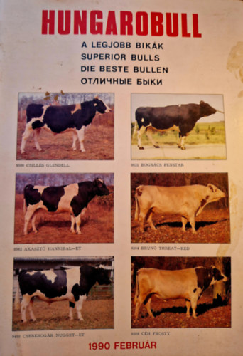 Hungarobull - A legjobb bik�k - Superior bulls - Die Beste Bullen
