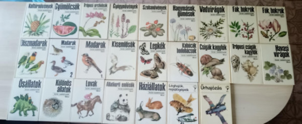 25db Bvr zsebknyv-cmek a kpen
