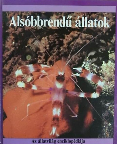 John Stidworthy - Alsbbrend llatok (Az llatvilg enciklopdija)