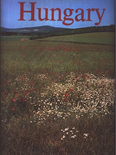 Istv�n L�z�r-Andr�s Sz�kely - Hungary