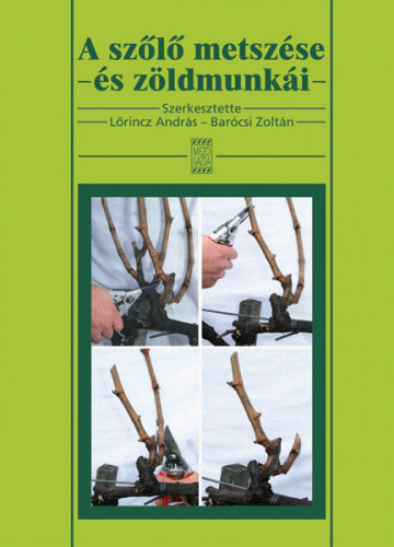 A szőlő metszése és zöldmunkái