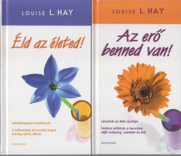 Louise L. Hay - 2 db Louise L. Hay mű: Éld az életed! + Az erő benned van!