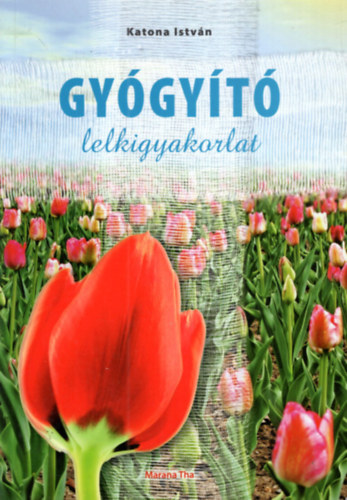 Katona Istv�n - Gy�gy�t� lelkigyakorlat