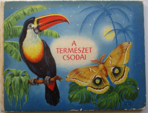 Rudolf Engel-Hardt (írta és rajzolta) - A természet csodái (Képeskönyv)