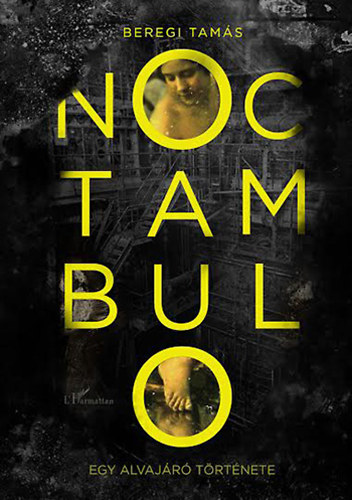 Beregi Tam�s - Noctambulo