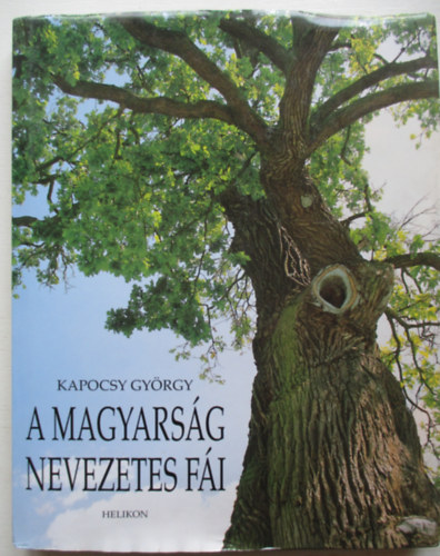 Kapocsy Gyrgy - A magyarsg nevezetes fi