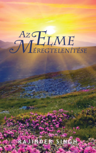 Rajinder Singh - Az elme méregtelenítése
