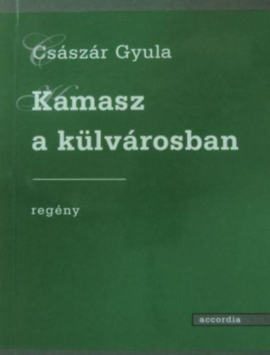 Cs�sz�r Gyula - Kamasz a k�lv�rosban