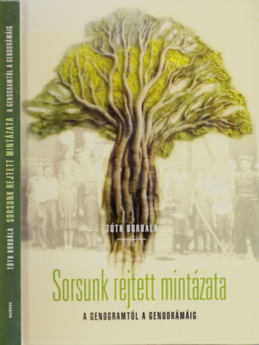 T�th Borb�la - Csal�df�nk - Sorsunk rejtett mint�zata