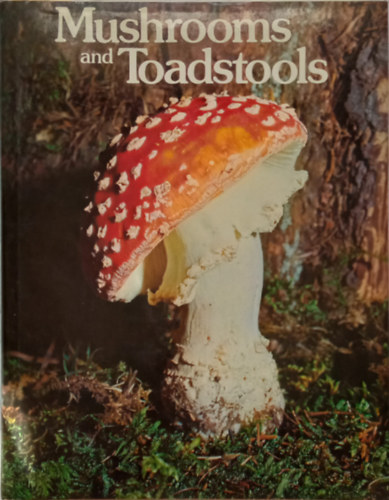Uberto Tosco - Annalaura Fanelli - Mushrooms and Toadstools