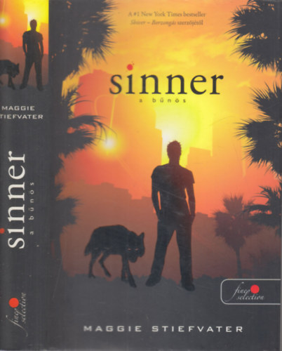 Maggie Stiefvater - Sinner - A bns