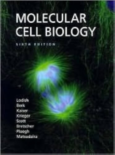 Arnold Berk, Chris A. Kaiser, Monty Krieger, Matthew P. Scott, Anthony Bretscher, Hidde Ploegh, Paul Matsudaira Harvey Lodish - Molecular Cell Biology
