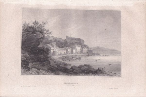 Castelnovo (Dalmatien) (Castelnuovo, Olaszorszg, Eurpa) (16x23,5 cm lapmret eredeti aclmetszet, 1856-bl)