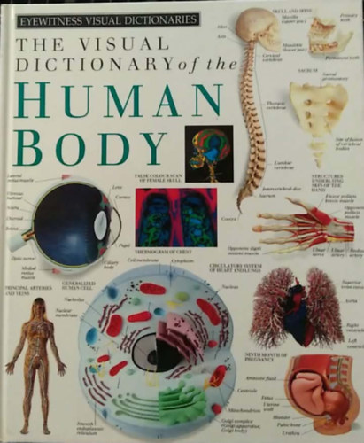 The Visual Dictionary of the Human Body