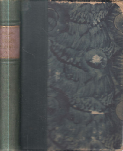 Bellamy Edv�rd - Visszapillant�s 2000-b�l 1887-ik �vre