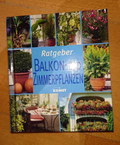 Ratgeber - Balkon- und Zimmerpflanzen