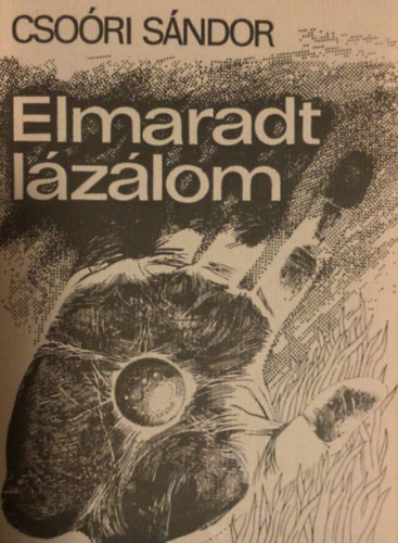 Cso�ri S�ndor - Elmaradt l�z�lom