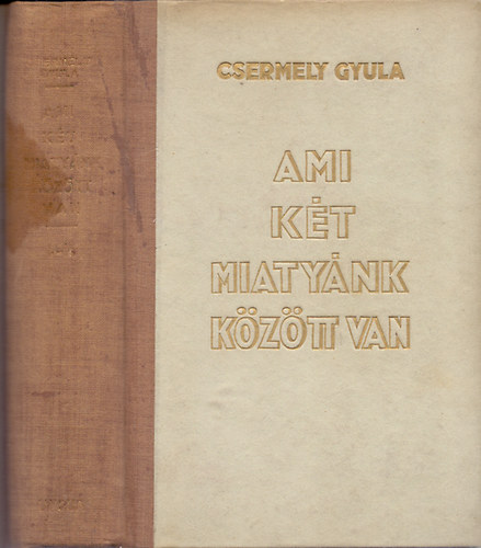 Csermely Gyula - Ami kt miatynk kztt van