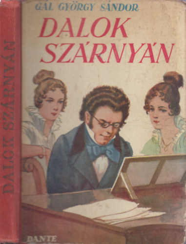 Gl Gyrgy Sndor - Dalok szrnyn (Schubert Ferenc letnek regnye) (Bicz Andrs rajzaival)