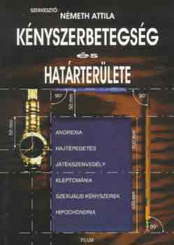 N�meth Attila - K�nyszerbetegs�g �s hat�rter�lete