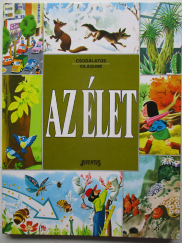 Ball�r Judit; Tony Wolf - Az �let (Csod�latos vil�gunk)