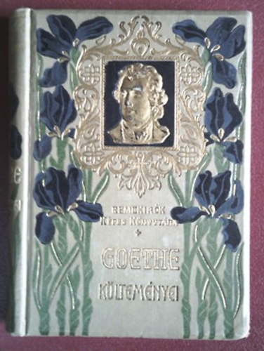Szerző Johann Wolfgang Goethe Goethe Szerkesztő Radó Antal Fordító Dóczi Lajos - Goethe költeményei - Aranyozott, színezett kiadói egész vászonkötés, 11 fekete-fehér illusztrációval és könyvdíszekkel. Saját képpel!