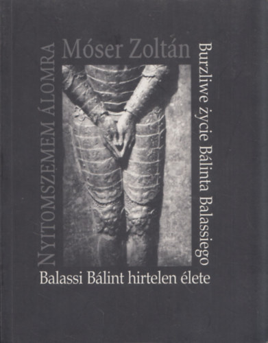 Móser Zoltán - Nyitom szemem álomra - Balassi Bálint hirtelen élete (magyar-lengyel)