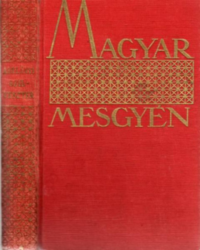 Aszl�nyi K�roly  (Kirk van Hossum) - Szilveszter