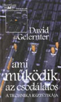 David Gelernter - Ami működik, az csodálatos