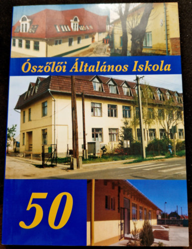 szli ltalnos Iskola (50)