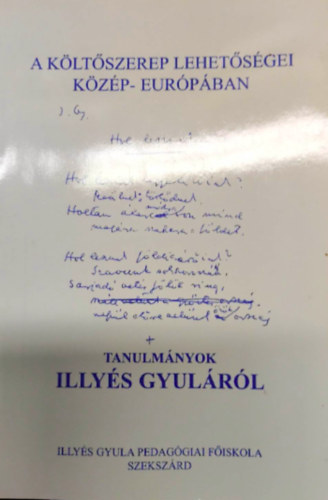 A költőszerep lehetőségei Közép-Európában