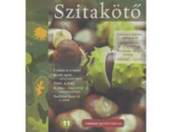 Szitakt 2010/3. sz