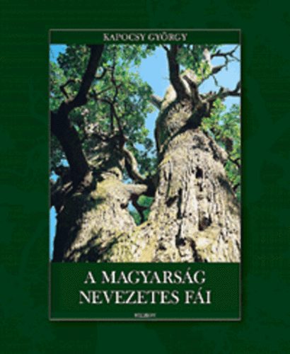 Kapocsy Gyrgy - A magyarsg nevezetes fi