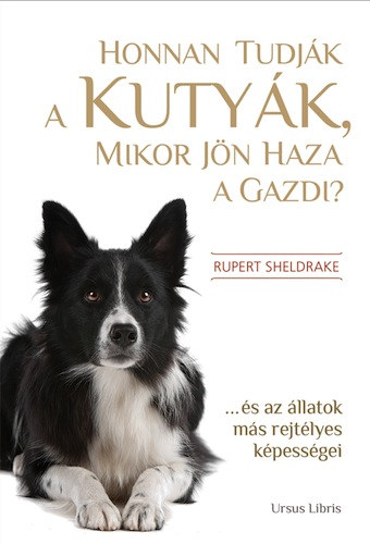 Rupert Sheldrake - Honnan tudjk a kutyk, mikor jn haza a gazdi?