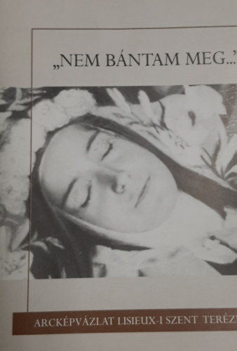 Sarutlan Kármelita Nővérek - "Nem bántam meg..." - Arcképvázlat lisieux-i Szent Terézről