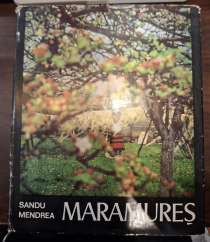 Sandu Mendrae - Maramures (Máramarossziget románul)