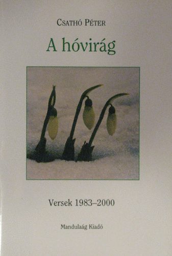 Csath Pter - A hvirg