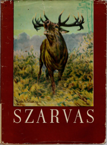 Szederjei Ákos - Szarvas