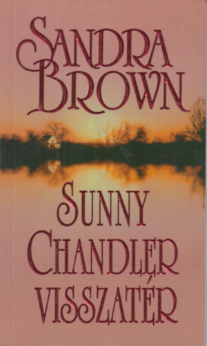 Sandra Brown - Sunny Chandler visszatr