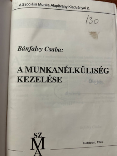 Bánfalvy Csaba - A munkanélküliség kezelése