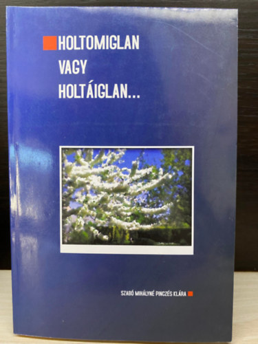Szab� Mih�lyn� Pincz�s Kl�ra - Holtomiglan vagy holt�iglan... - Napl�reg�ny