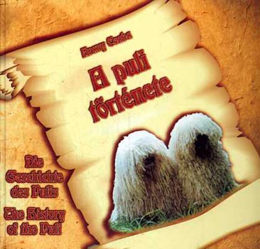 Arany Csaba - A puli története